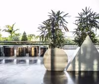 Villa Mana, Detalle del interior