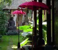 Villa Bamboo, détail de jardin